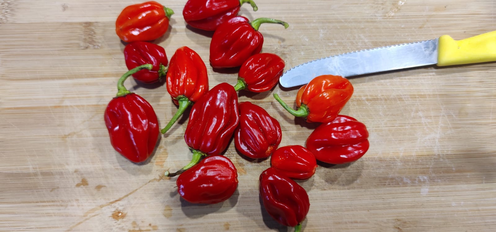 African Ghost Peppers