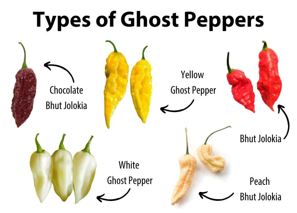 Types-of-Ghost-Pepper