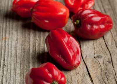 red-chili-habanero-peppers (2)