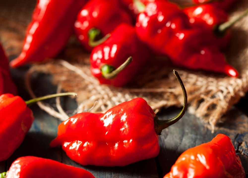 ghost-pepper-hot-sauce