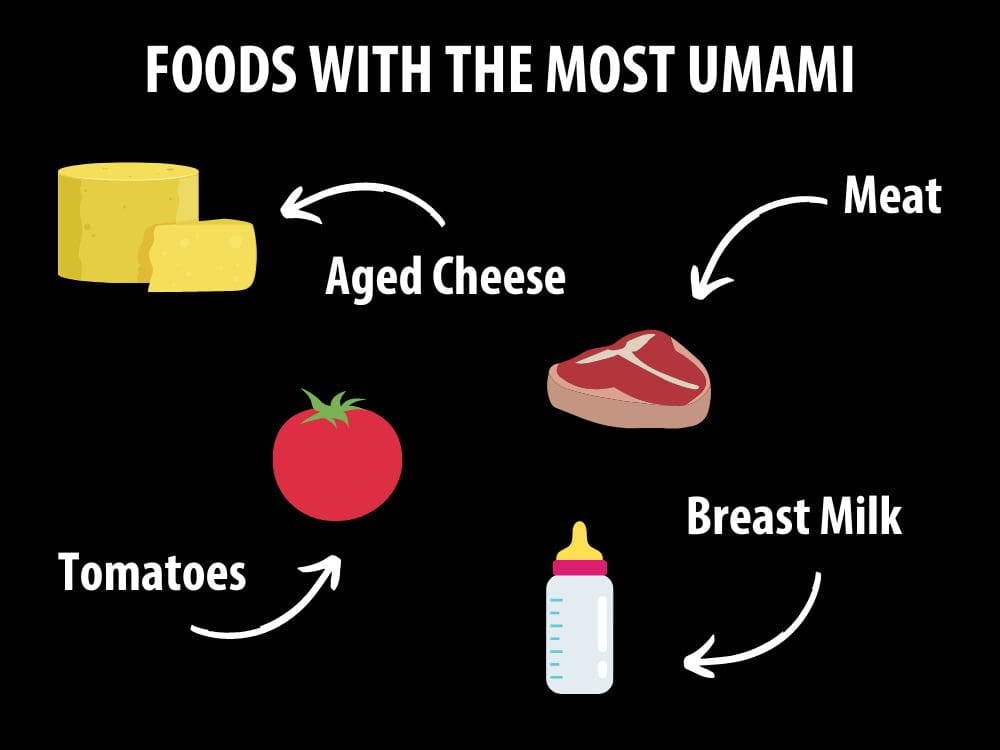what-is-umami-4