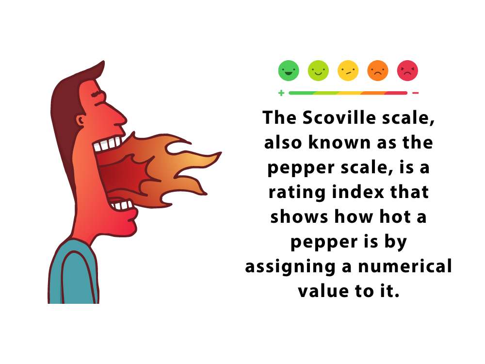 what-is-the-scoville-scale-1